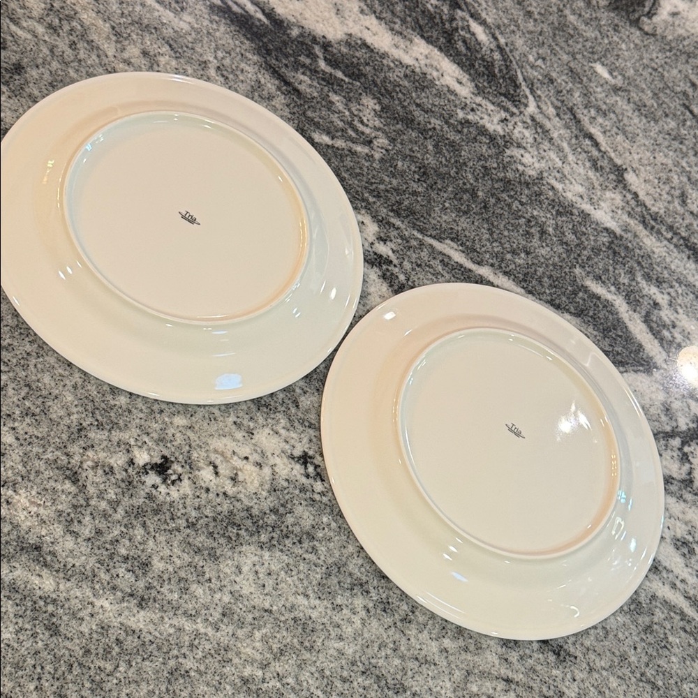 Las Vegas Raiders Allegiant Stadium Suite Hospitality Plates (set of 2) - Picture 6 of 6